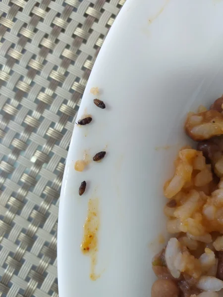 Delicias Do Ceará