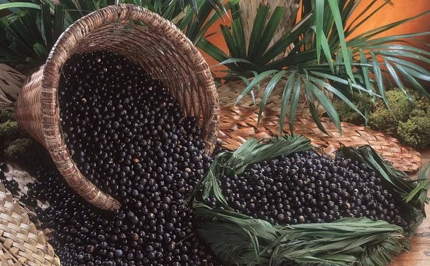 Pé de Açai Coffee