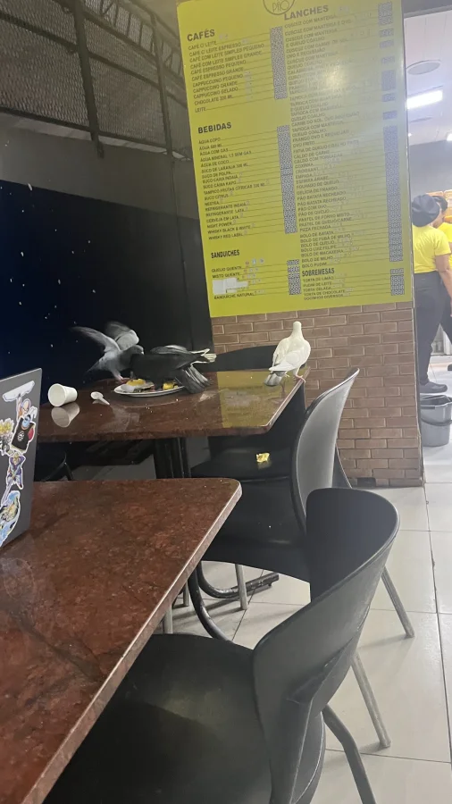 Café com Pão - foto 2