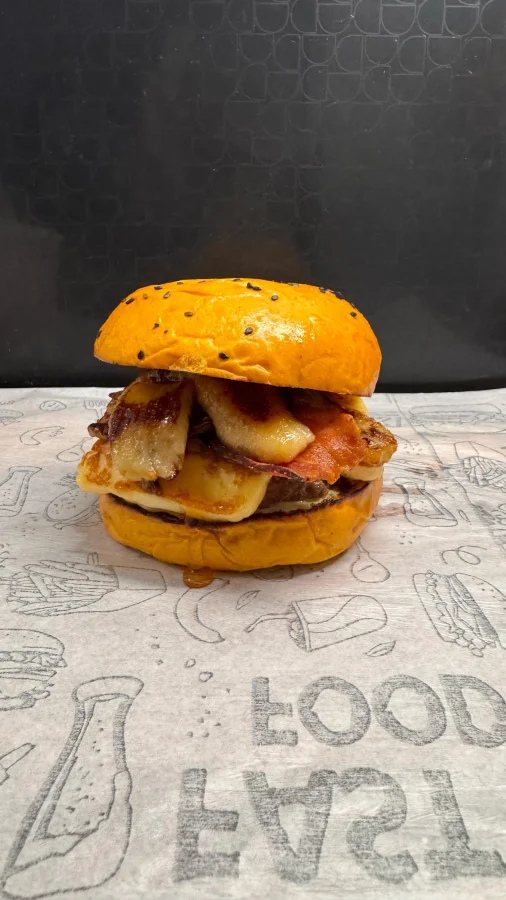 Hamburgou - foto 2