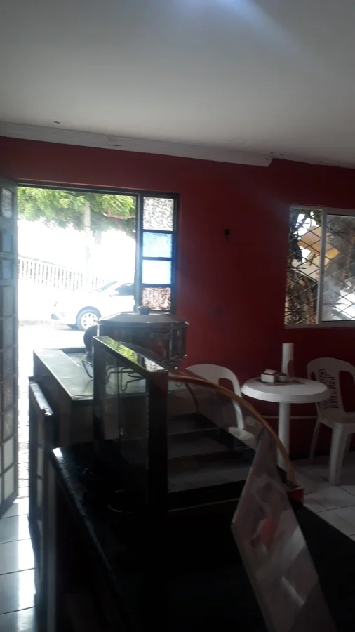 Mister lanches e tapiocaria - foto 2
