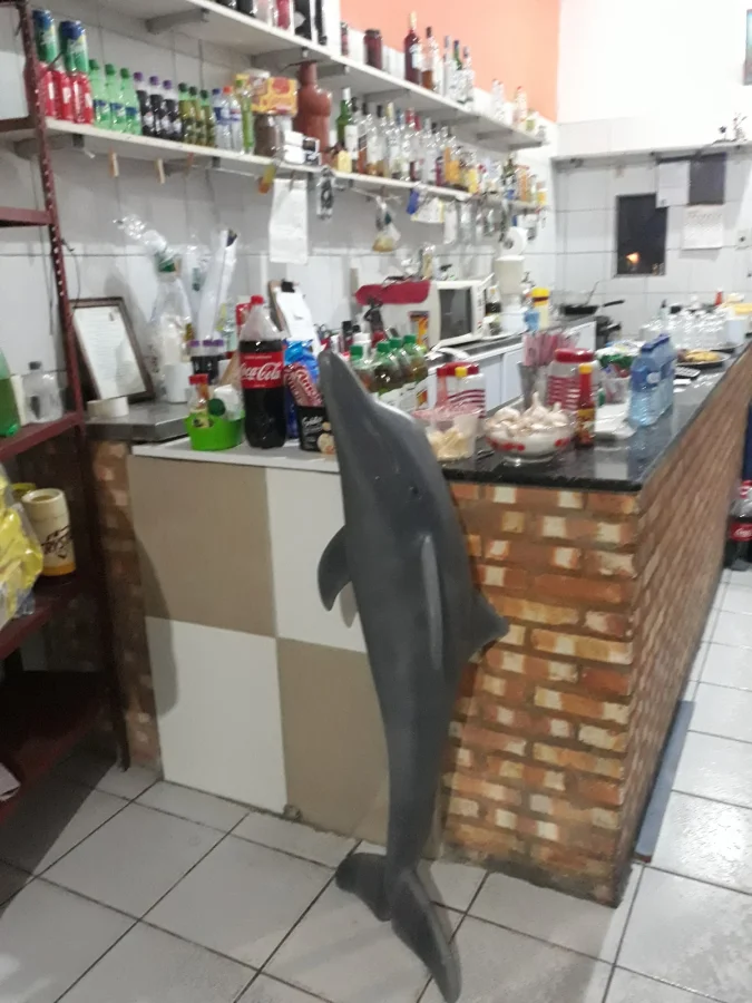 NOSSO BARZINHO - foto 2