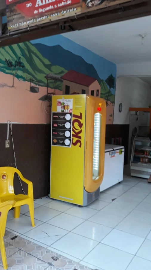 Skina do sabor - foto 2