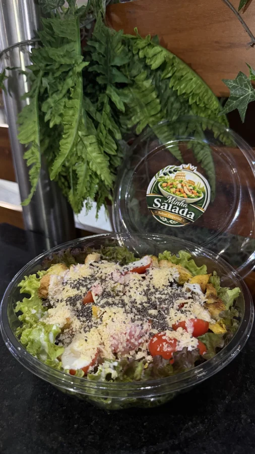 Minha salada - foto 1