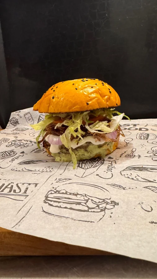 Hamburgou - foto 1